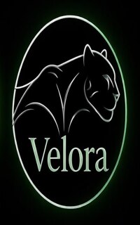 Шлюха Velora 40249