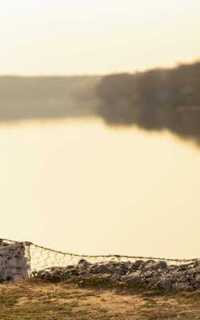 Шлюха Нелли 32469 Шлюха Нелли 32469