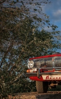 Шлюха Вероника 29347