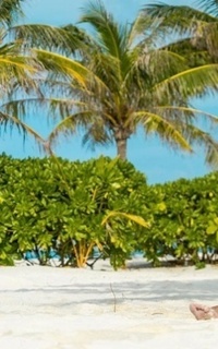 Шлюха Лика 33711